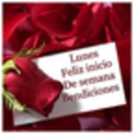 Logo of Rosas con Frases Bonitas android Application 