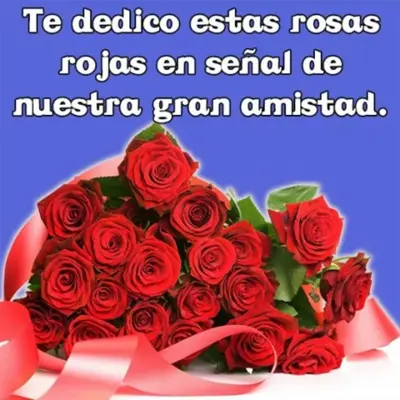 Rosas con Frases Bonitas android App screenshot 2