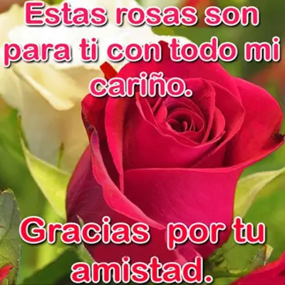 Rosas con Frases Bonitas android App screenshot 3